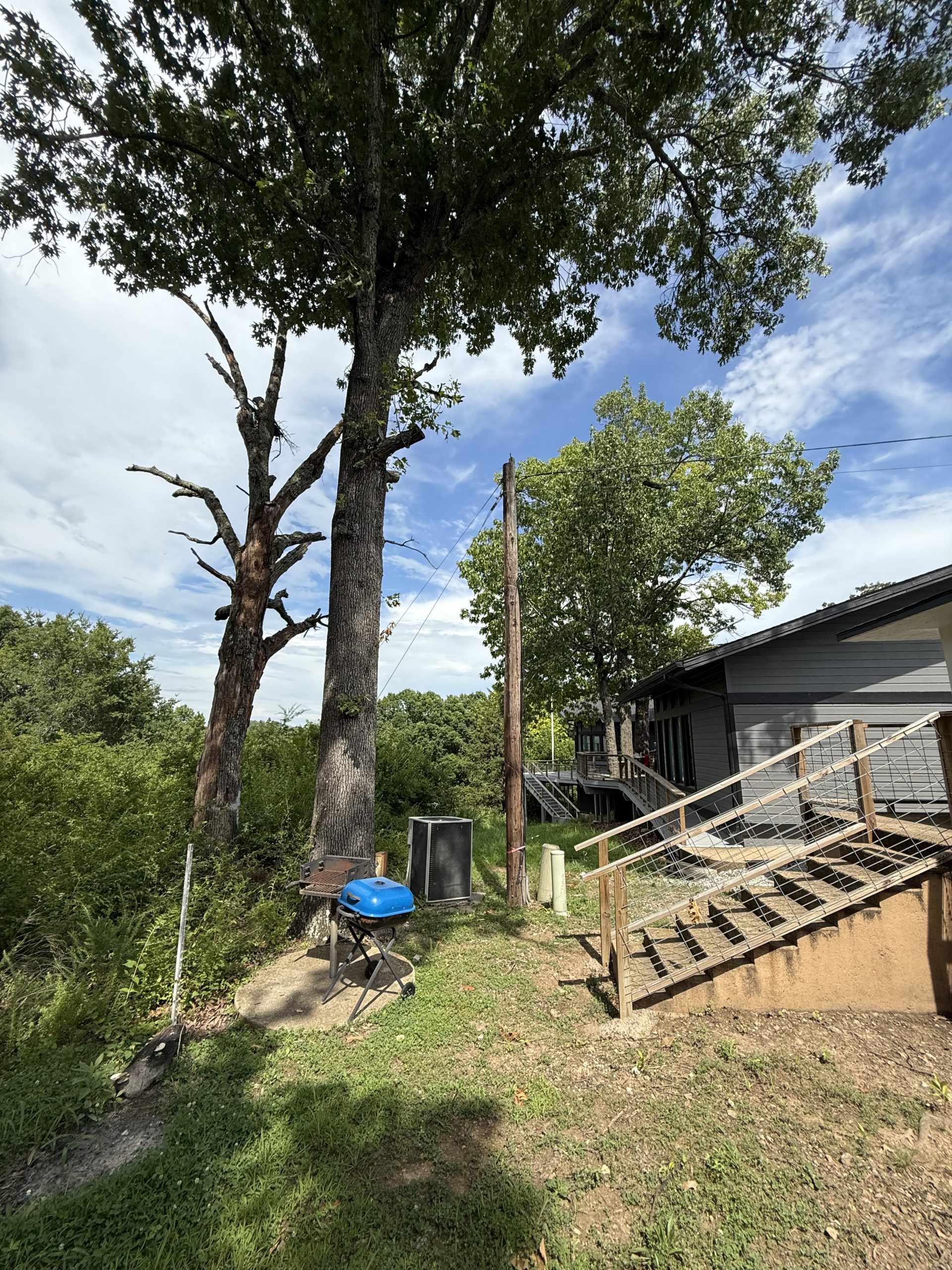 Trees and lakeside cabins at Bel Arco Resort